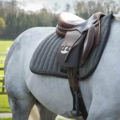 Paddock Sports - Tapis de selle Wooltouch Gris Best