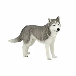 Clearance Papo - Figurine Husky de Sibérie
