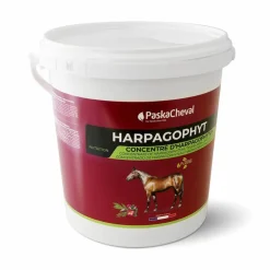 Paskacheval - Complément alimentaire soutien articulaire Harpagophyt