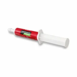 Hot Paskacheval - Complément alimentaire seringue vitamine et colostrum poulain Paska'Imuflor