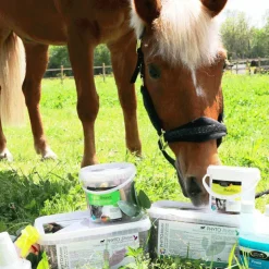 PhytoMaster - Complément alimentaire anti-stress Phyto Stress Outlet