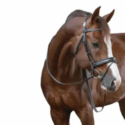 Pénélope - Bridon daily noir Sale