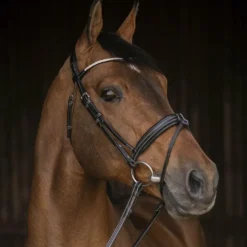 Hot Pénélope - Bridon Daily Strass Noir