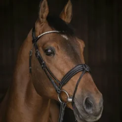 Hot Pénélope - Bridon Daily Strass Noir