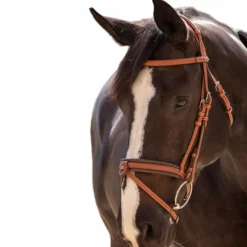 Clearance Pénélope - Bridon Elégance Cognac