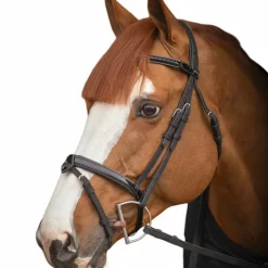 Pénélope - Bridon Oxford Noir Clearance