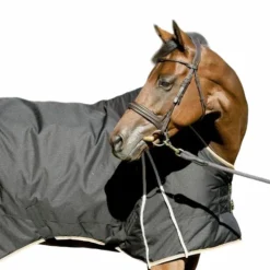 Pénélope - Chemise de box /crème 400g Noir Discount