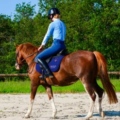Sale Pénélope - Chemise de concours manches longues femme Showshirt artic Bleu