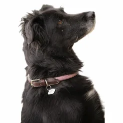 Pénélope - Collier pour chien Billie / lurex Rose New