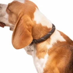 Pénélope - Collier pour chien Billie / lurex Noir Best