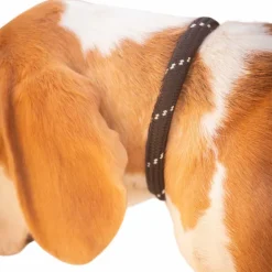 Pénélope - Collier pour chien Billie / lurex Noir Best