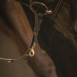 Pénélope - Enrênement Howlett Martin collier Noir Outlet