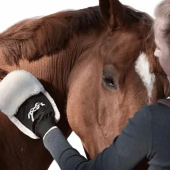 Pénélope - Gant de pansage Best