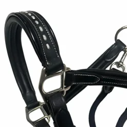 Pénélope - Licol cheval cuir Point Sellier Noir Discount