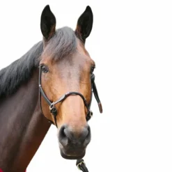 Outlet Pénélope - Licol cheval Ethologique noir