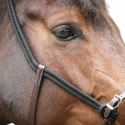 Outlet Pénélope - Licol cheval Ethologique noir