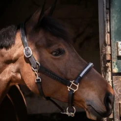 Pénélope - Licol Harmonie Noir Best