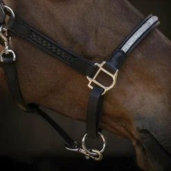 Pénélope - Licol Harmonie Noir Best