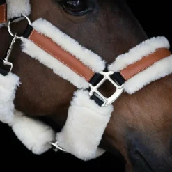 Pénélope - Licol mouton et cuir / beige Noir