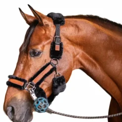 Pénélope - Licol mouton et cuir / Noir Discount