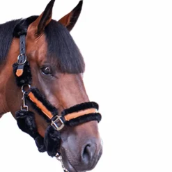 Pénélope - Licol mouton et cuir / Noir Discount