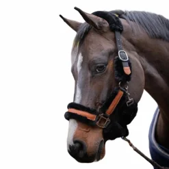 Pénélope - Licol mouton et cuir / Noir Discount