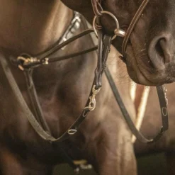 Outlet Pénélope - Rênes Howlett cuir Noir