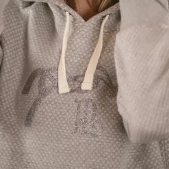 Pénélope - Sweatshirt à capuche manches longues femme Chilly Gris Online