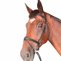 Privilège Equitation Privilege Equitation - Bridon Cabourg combiné avec rênes Noir Sale