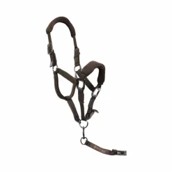 Pro Confort - Ensemble licol ergonomique et longe Dorai en mesh Marron Online