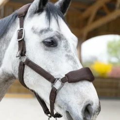 Pro Confort - Ensemble licol ergonomique et longe Dorai en mesh Marron Online