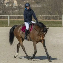 Discount Pro Series - Blouson Equilibre femme Marine