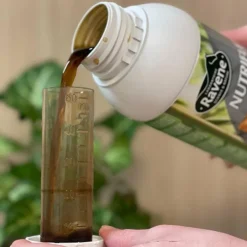 Ravene - Complément alimentaire articulaire Nutriflex Best