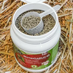 Ravene - Complément alimentaire état général Nutrigarlic + Discount