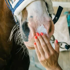 New Ravene - Crème solaire Sun Protec