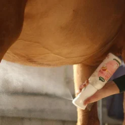 Ravene - Eco-recharge démêlant Easy Shine Intense