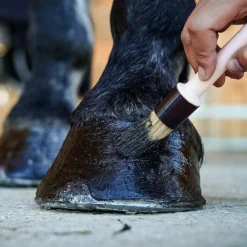 Ravene - Onguent pour sabots Pedigard noir Sale