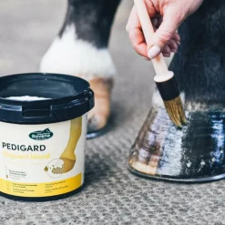 Ravene - Onguent pour sabots Pedigard blond Sale