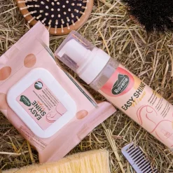 Ravene - Shampoing sec détachant mousse Easy Shine Sale