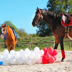 Outlet Riding World - Amortisseur Rouge