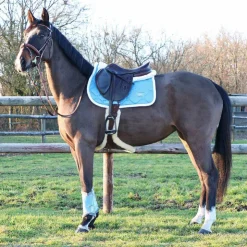 Best Riding World - Amortisseur pour chevaux Blanc