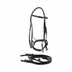 Riding World - Bride de dressage e avec rênes Noir Sale