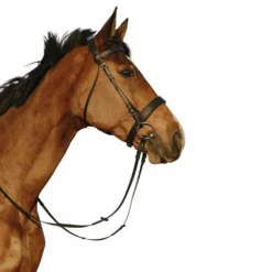 Riding World - Bridon muserolle large avec rênes Noir Outlet