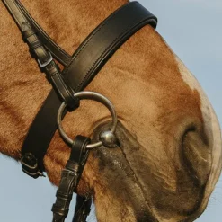 Riding World - Bridon muserolle large avec rênes Noir Outlet