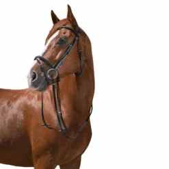 Discount Riding World - Bridon Muserolle Combinée avec rênes Noir