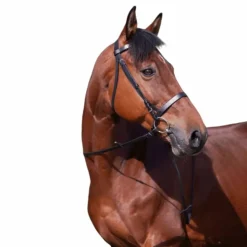 Best Riding World - Bridon muserolle française avec rênes Noir