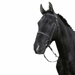 Best Riding World - Bridon muserolle française avec rênes Noir