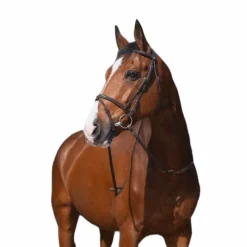 Hot Riding World - Bridon Muserolle Combinée avec rênes Havane
