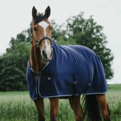 Riding World - Chemise séchante Marine Best