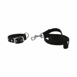 Riding World - Collier et laisse pour chien Oscar Noir